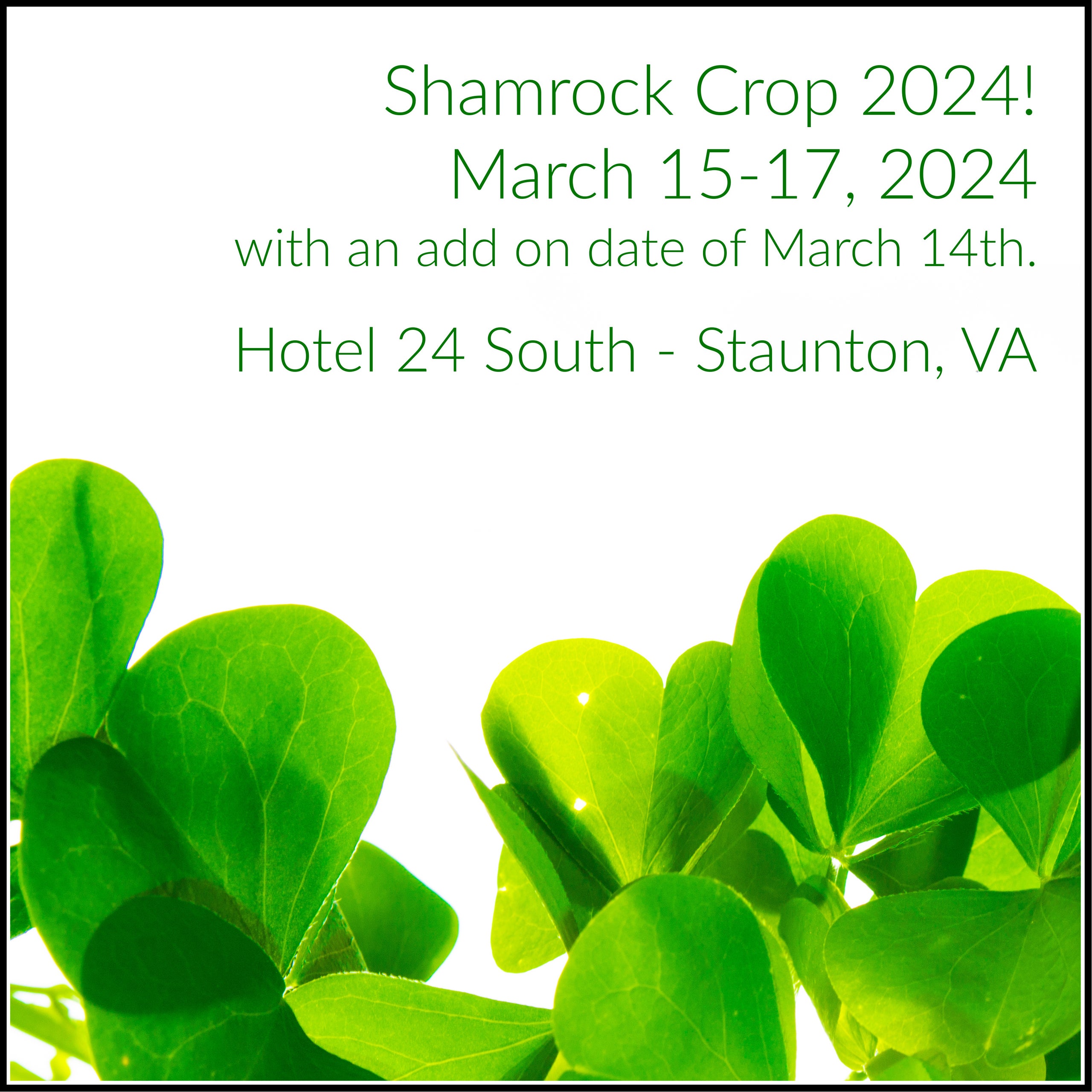 Shamrock Crop 2024 Tonya Sheridan. Independent Demonstrator. Stampin' Up.